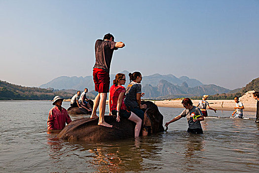 群体,背包族,玩,情侣,大象,湄公河,户外,琅勃拉邦,老挝