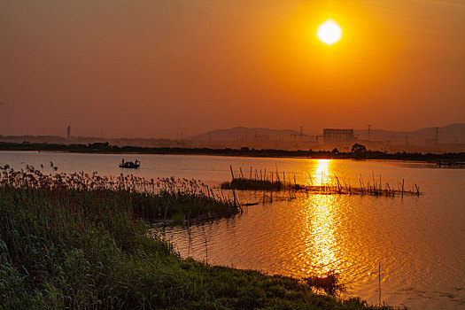 太湖湿地