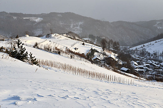 冬季吉林雪村-松岭美景如画