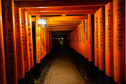 日本京都伏见稻荷大社千本鸟居夜景