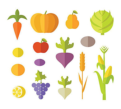 水果,蔬菜,矢量,设计,胡萝卜,南瓜,梨,苹果,卷心菜,甜菜,萝卜,柠檬,葡萄,玉米,土豆,插画,概念,旗帜,象征