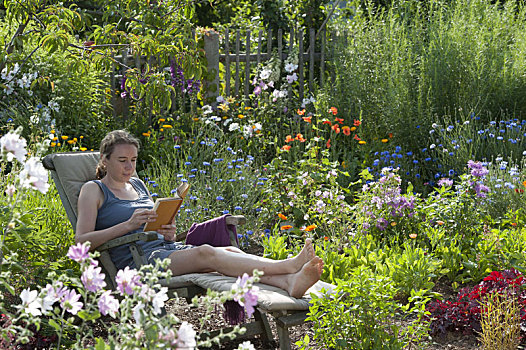 折叠躺椅,自然,花园,夏花,矢车菊