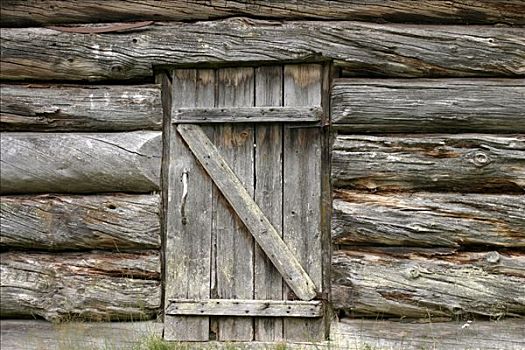 门,木屋,国家公园,挪威,斯堪的纳维亚,北欧