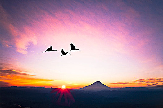 野鸟,山,富士山
