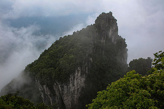 恩施,黄鹤峰,风景,景点,旅游,高山,山区,神秘,树木,植被,石头,鄂西,奇石,峡谷,壮观,云海,仙境