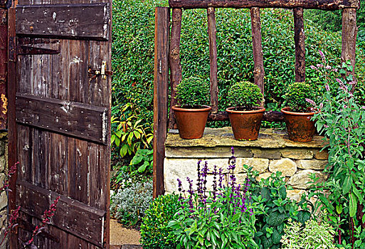 园墙,盆栽,农作物