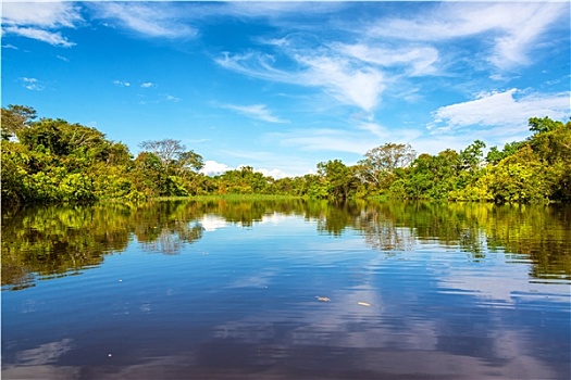 漂亮,亚马逊河,反射