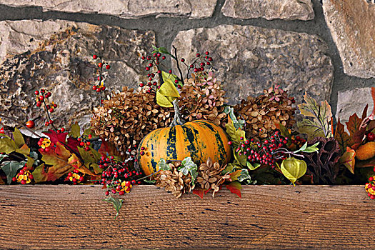 秋天,安放,南瓜,嫩枝,浆果,叶子,石墙