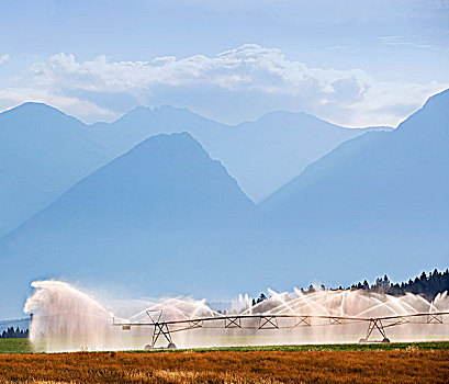 灌溉,不列颠哥伦比亚省,加拿大,水,山