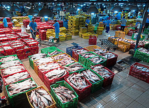 不同,品种,鱼,塑料制品,篮子,冰,中心,鱼市,胡志明市,越南,亚洲