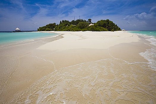海滩,菩提树,环礁,马尔代夫