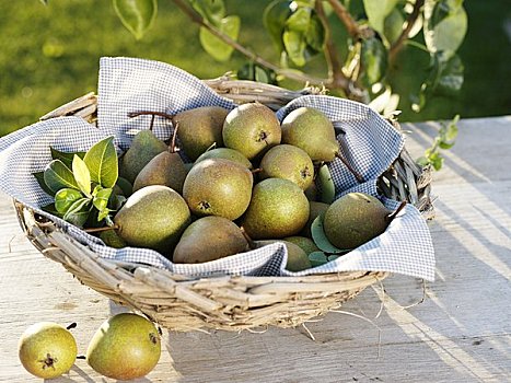 新鲜,梨,品种,篮子