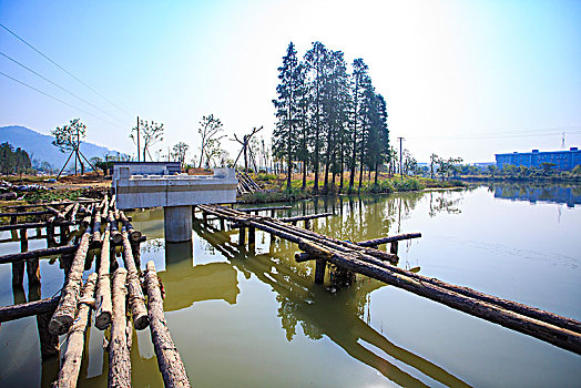 草地,道路,花木,绿色