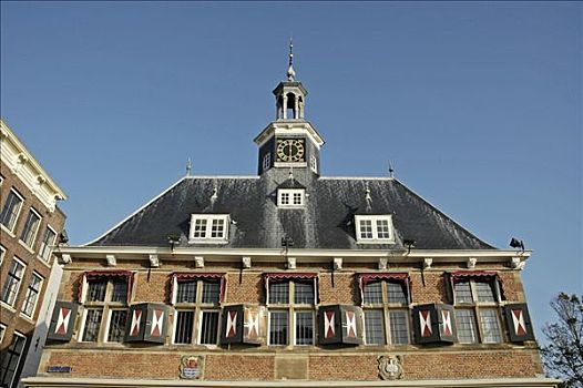 屋顶,钟楼,荷兰