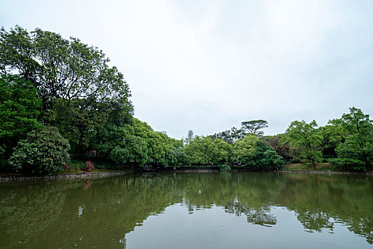 广州2023年春季天河公园湖水绿树相得益彰