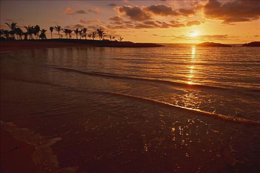 夏威夷,瓦胡岛,胜地,日落,上方,海洋,棕榈树