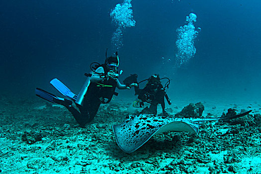 水下视角,潜水者,印度洋,马尔代夫