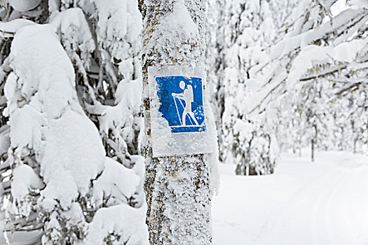 越野滑雪,标识,国家公园,拉普兰,芬兰