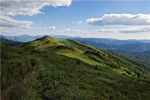 喀尔巴阡山脉,波兰,绿色,山