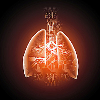 图解,插画,人,肺