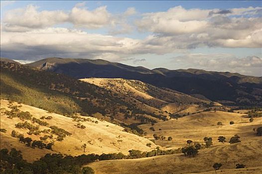 山谷,分开,山脉,维多利亚,澳大利亚