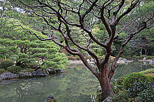 日本,关西,京都,花园,平安神宫