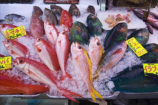 市场,拱廊,红鲷鱼,热带鱼