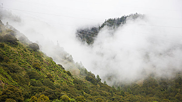 尼洋河风光带