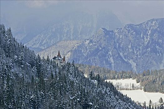 风景,别墅,第一,障碍滑雪,2004年,塞梅宁,下奥地利州