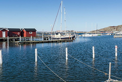 瑞典,户外,哥德堡,小,港口