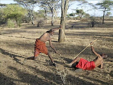 两个,男人,参加,嘲弄,棍,争斗,马萨伊人,邻居,生活方式,坦桑尼亚北部,游牧部落