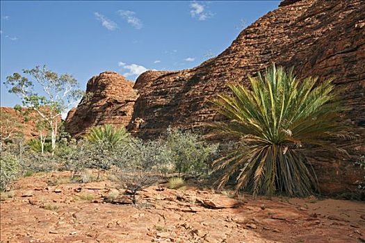 澳大利亚,北领地州,红岩,手掌,国王峡谷,圆顶,反射,差别,风化,石头