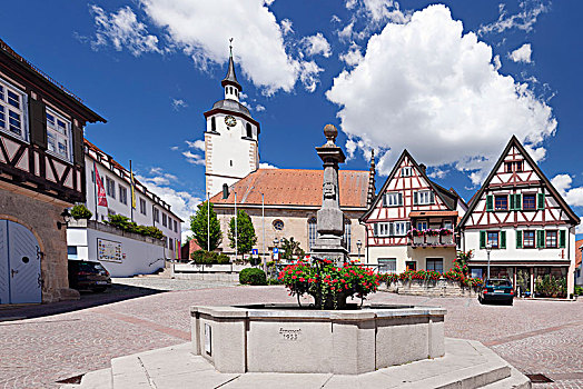 市场,喷泉,广场,城镇,教堂,巴登符腾堡,德国,欧洲