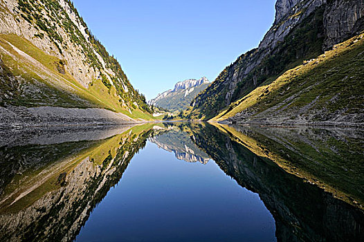 晚间,亮光,湖,反射,水,阿彭策尔,阿尔卑斯山,瑞士,欧洲