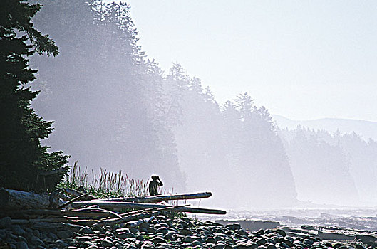 环太平洋国家公园,西海岸小径,河,温哥华岛,不列颠哥伦比亚省,加拿大
