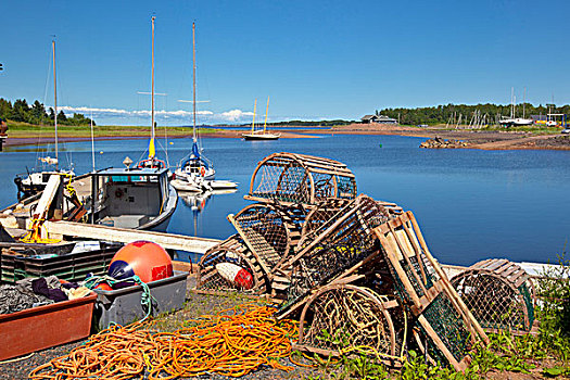 捕虾器,帆船,港口,日出,小路,新斯科舍省,加拿大