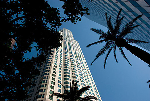 摩天大楼,洛杉矶市区,加利福尼亚