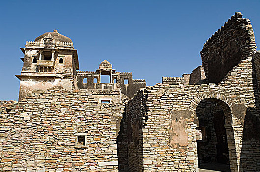 仰视,古遗址,宫殿,蛙属,堡垒,拉贾斯坦邦,印度
