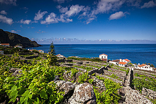 葡萄牙,亚速尔群岛,圣马利亚,岛屿,俯视图,城镇,火山岩,葡萄园