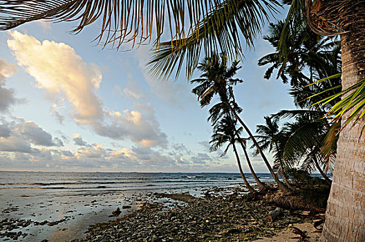 日落,珊瑚,海滩,靠近,群岛,加勒比海,巴拿马,中美洲