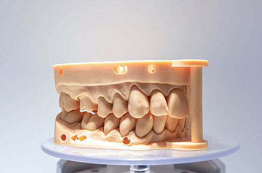 牙科医学模型