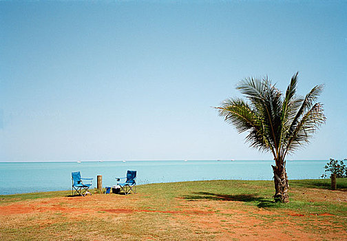 两个,空,休闲椅,靠近,棕榈树,海洋,澳大利亚