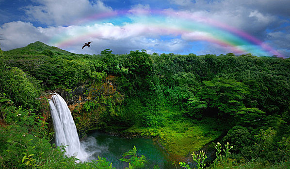 俯视,漂亮,瀑布,夏威夷