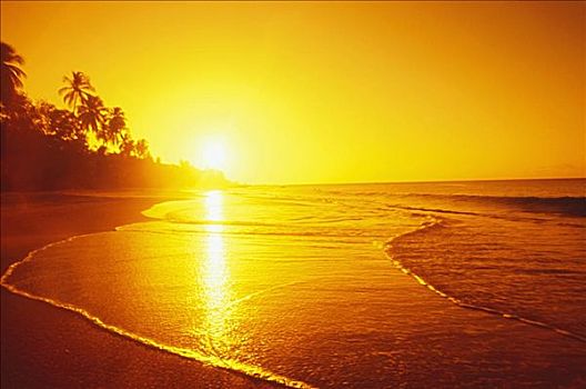 日落,上方,海滩,加勒比海