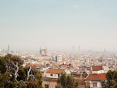 俯拍,朦胧,城市,神圣家族教堂,天际线,巴塞罗那,西班牙