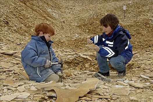 艾希斯泰特,上巴伐利亚,德国,孩子,收集,寻找,化石
