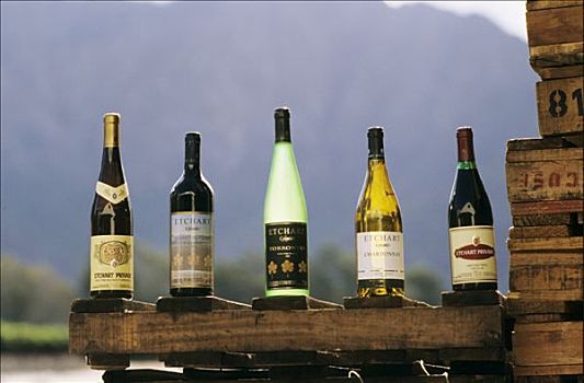 阿根廷,萨尔塔省,瓶子,葡萄酒,木板,葡萄园