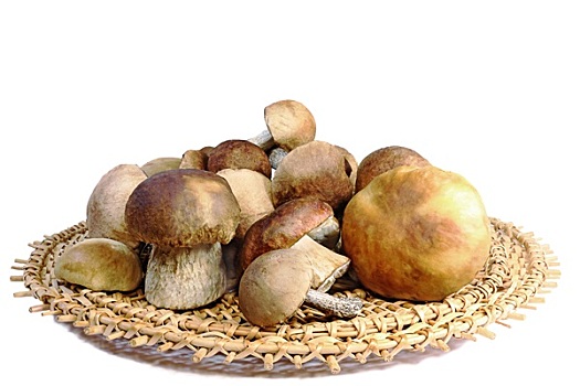 蘑菇,藤条,盘子,白色背景