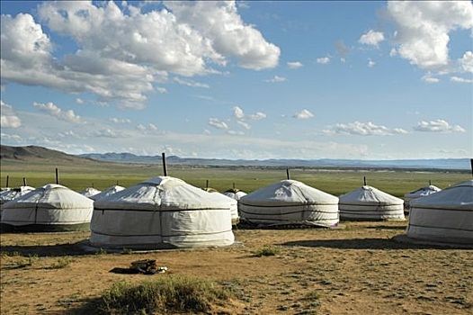 蒙古包,露营,草原,蒙古