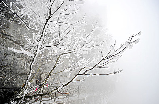 悬崖边的雾凇雪挂